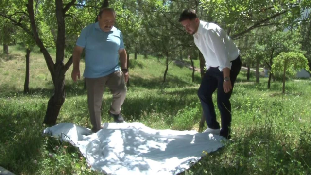 Kene nasıl tespit edilir? Profesörden açık renkli örtü tüyosu